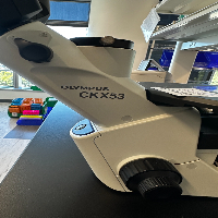 Olympus CKX53 Inverted Microscope image 2